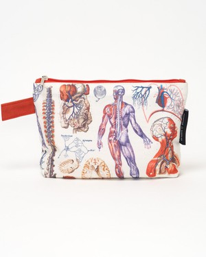 Etui anatomie from Fairy Positron