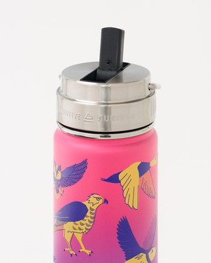 Rietjesdop (RVS/PP) from Fairy Positron