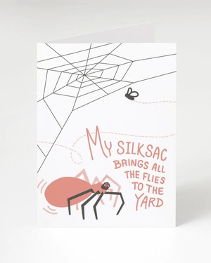 Wenskaart spin “My silksac brings all the flies to the yard” from Fairy Positron