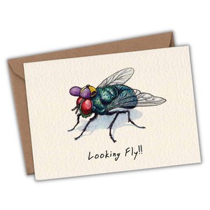 Wenskaart vlieg "Looking fly" from Fairy Positron