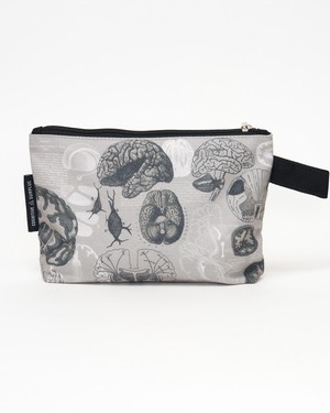 Etui anatomie van het brein from Fairy Positron