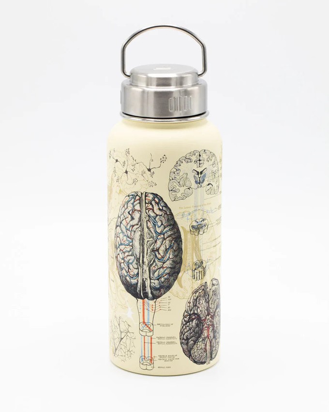 Drinkfles "Brain & Neuroscience" (950ml) from Fairy Positron