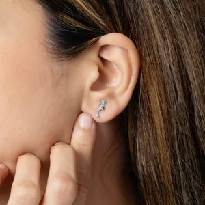 Zilveren oorbellen hamerhaai from Fairy Positron