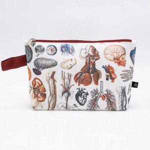 Etui anatomie from Fairy Positron