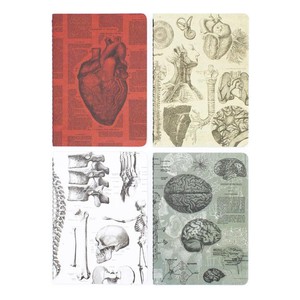 Set zaknotitieboekjes anatomie from Fairy Positron