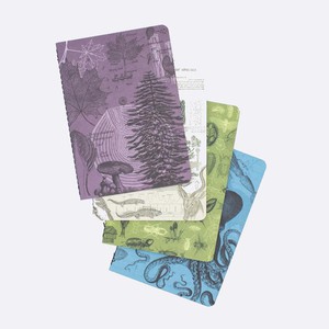 Set zaknotitieboekjes natural science from Fairy Positron