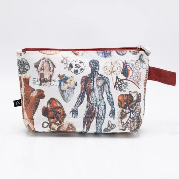 Etui anatomie from Fairy Positron