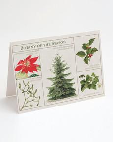 Wenskaart kerst "Botany of the season" via Fairy Positron