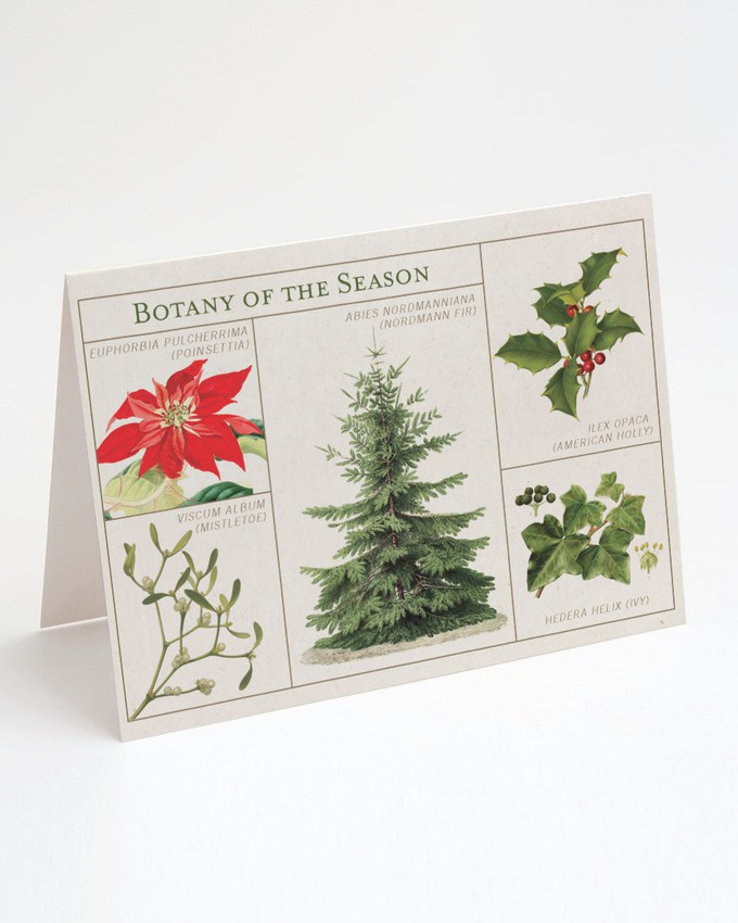 Wenskaart kerst "Botany of the season" from Fairy Positron