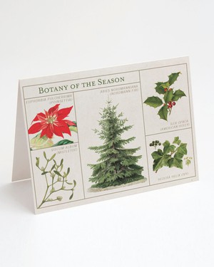 Wenskaart kerst "Botany of the season" from Fairy Positron