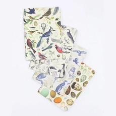 Set zaknotitieboekjes ornithologie via Fairy Positron