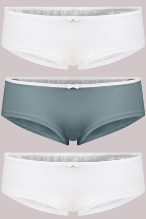 SET: Bio hipster panties "Jondel": white / white lace x2, light grey / white lace x1 from Frija Omina