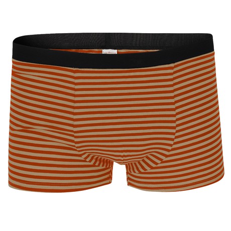 Bio Trunk Shorts sandy / rust stripes from Frija Omina