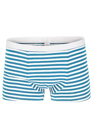 Organic men’s trunk boxer shorts, stripes teal-white from Frija Omina