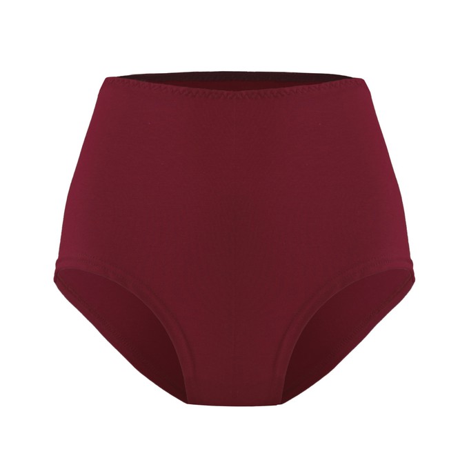 Organic hight waist knickers Lille aubergine (red) from Frija Omina