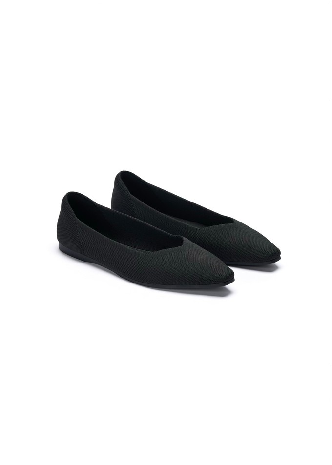 Celine Recycled Ballet Flats from GAÂLA