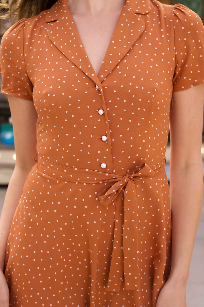 Belle Polka-Dot Dress from GAÂLA
