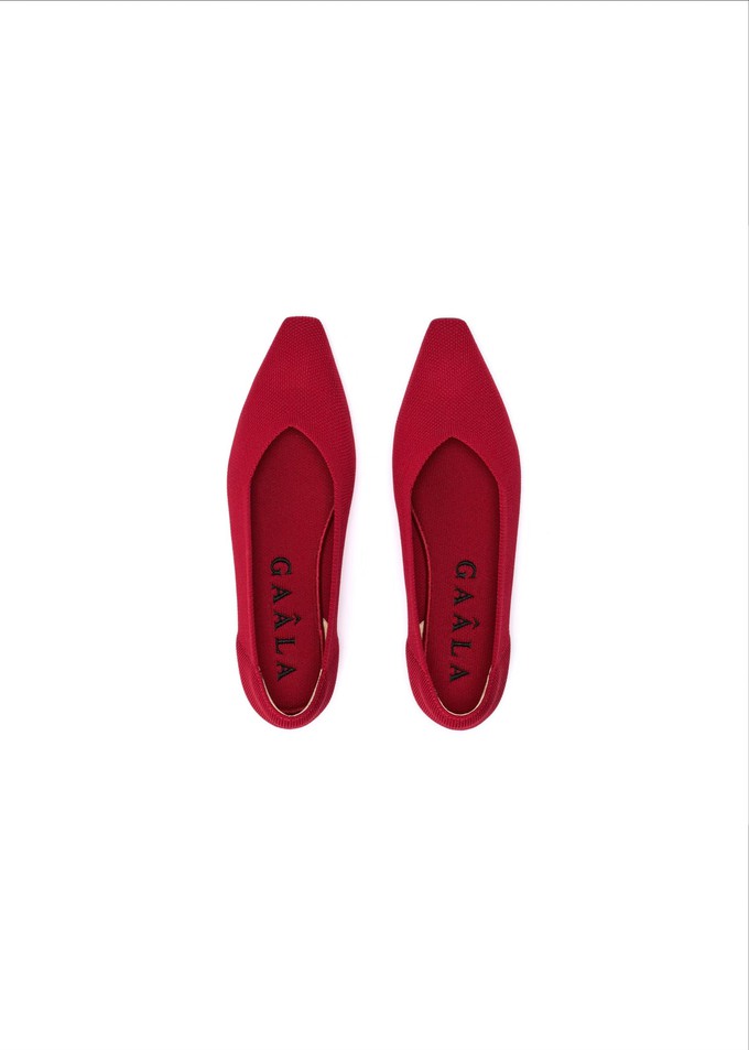 Celine Recycled Ballet Flats from GAÂLA