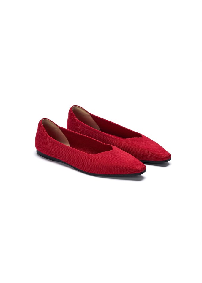 Celine Recycled Ballet Flats from GAÂLA