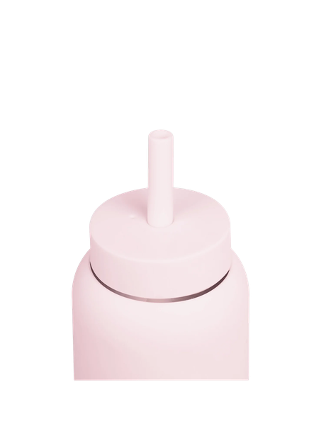 Mini Lounge Straw + Cap | Seashell from Glow - the store