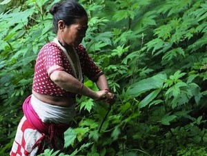 Wild Nettle and Hemp Laptop case from Himal Natural Fibres