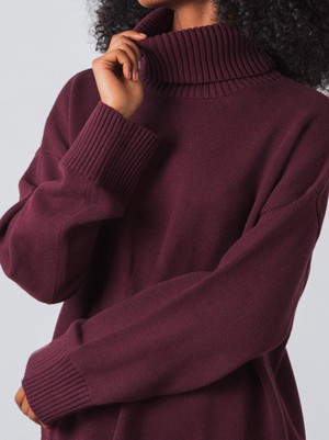 Chunky Turtleneck Women from Honest Basics