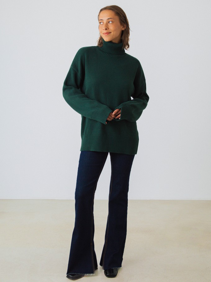 Chunky Turtleneck Women from Honest Basics