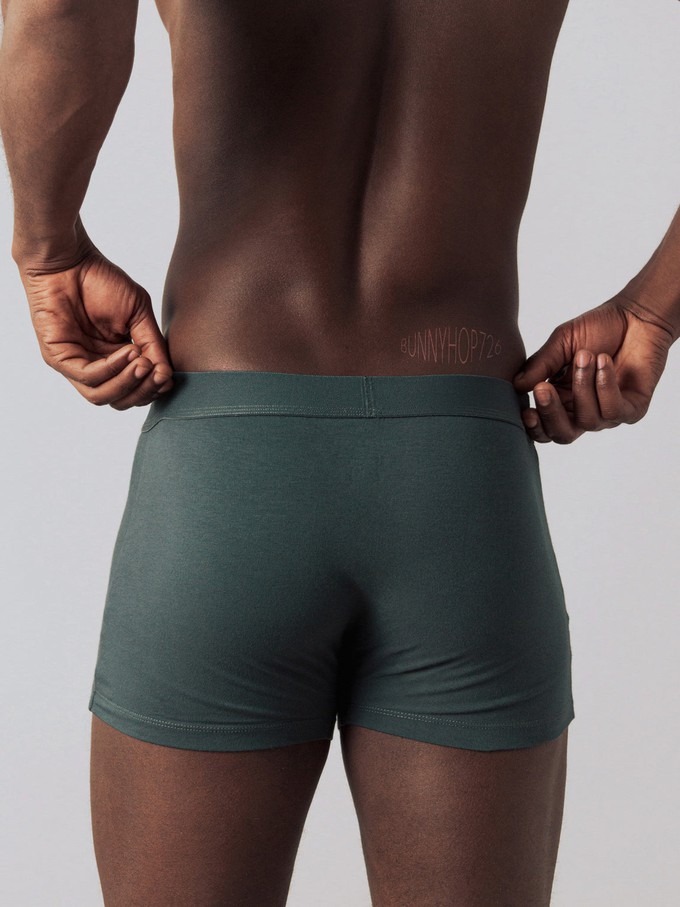 Boxershorts 3-pack from Honest Basics