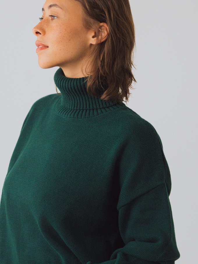 Chunky Turtleneck Women from Honest Basics