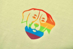 T-shirt Lara Mint Rainbow Edition from IT'S PAWSOME