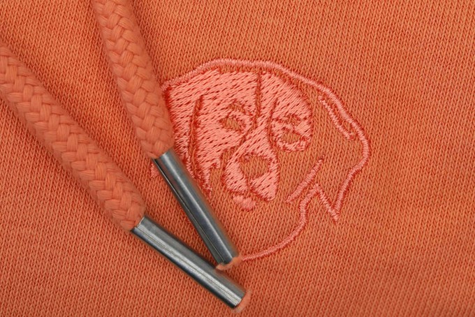 Hoodie Rover Orange from IT'S PAWSOME