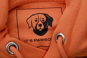 Hoodie Rover Orange from IT'S PAWSOME