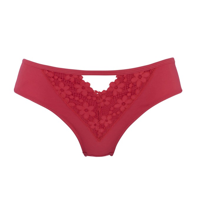 Passion Red - Silk & Organic Cotton Brief from JulieMay Lingerie