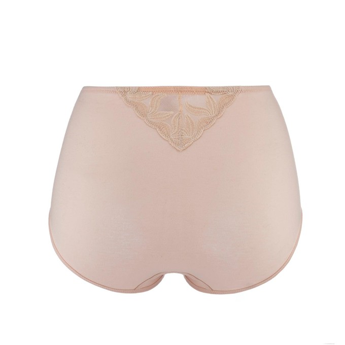 Ornate- Silk & Organic Cotton Full Brief from JulieMay Lingerie