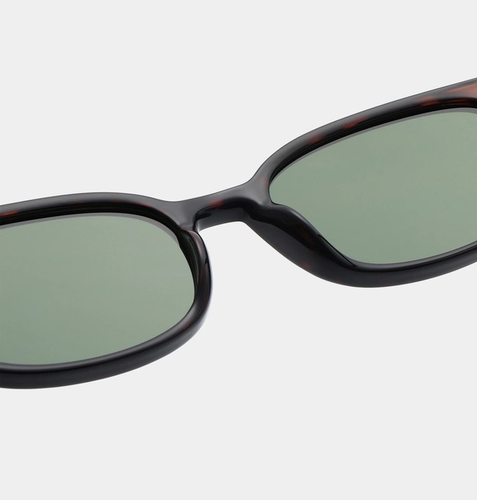 CHARLIE - Demi Tortoise Sunglasses by A.Kjaerbede from KOMODO