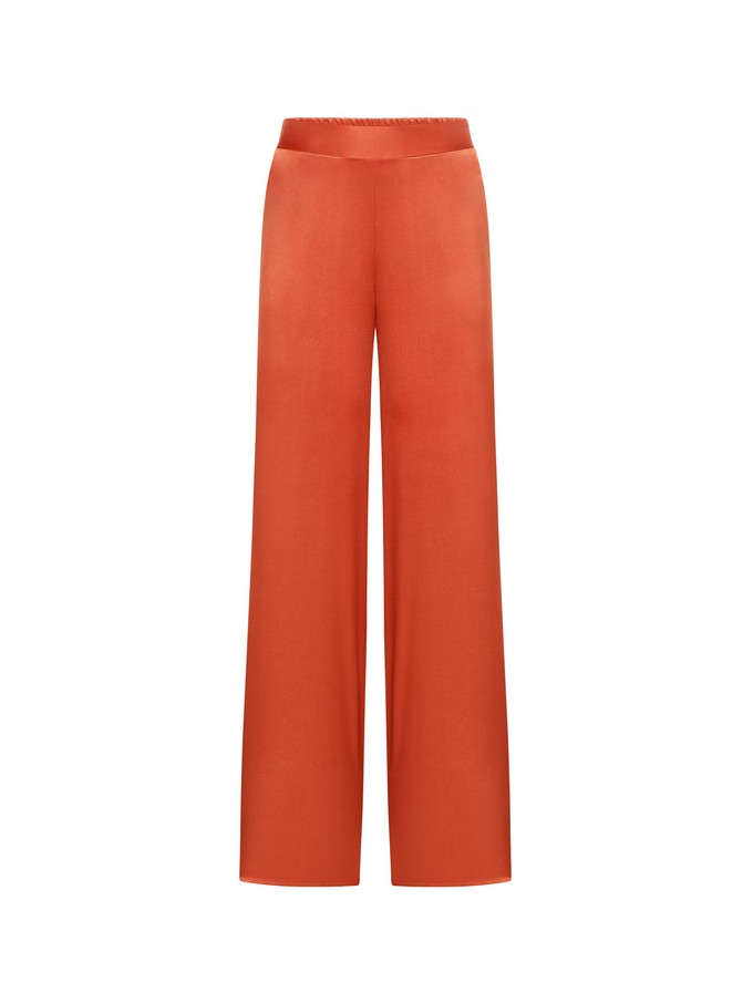 Silk pants from LANIUS