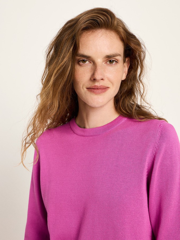 Round neck sweater (GOTS) from LANIUS