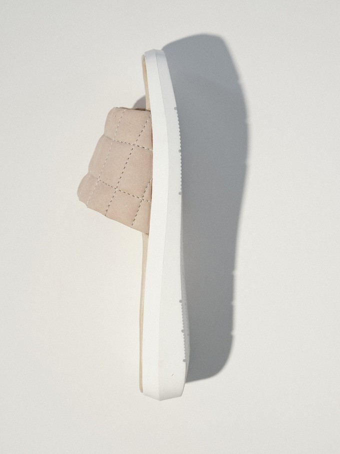 Mules from LANIUS