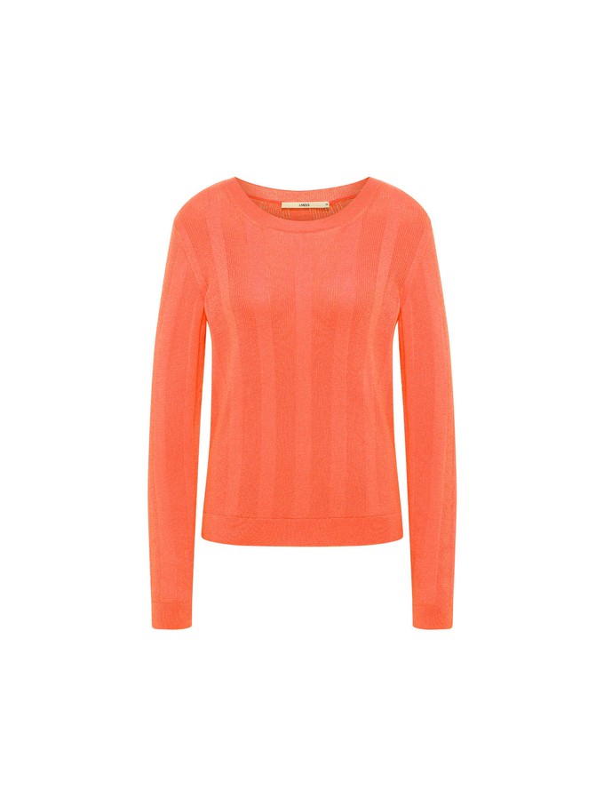 Wide rib sweater (GOTS) from LANIUS