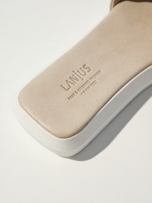 Mules from LANIUS