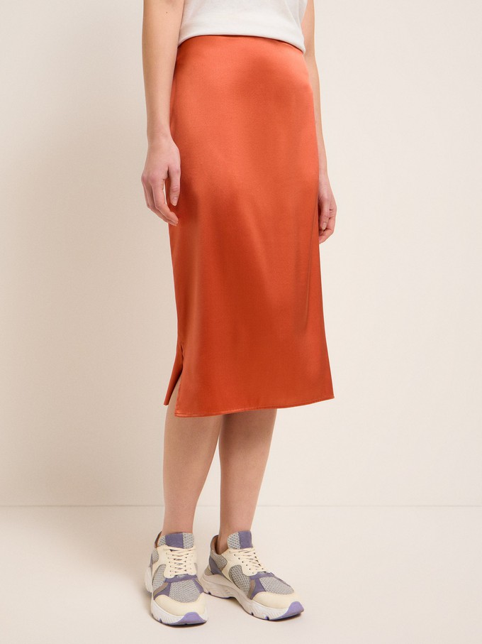Silk skirt from LANIUS