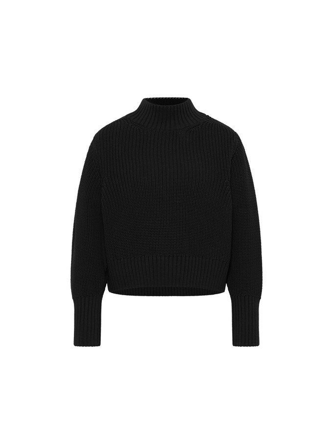 Chunky knit sweater (GOTS) from LANIUS