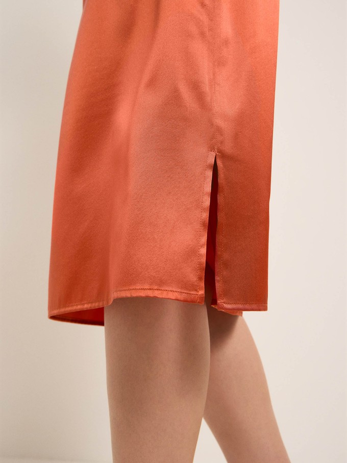 Silk skirt from LANIUS