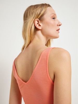 Top from LANIUS