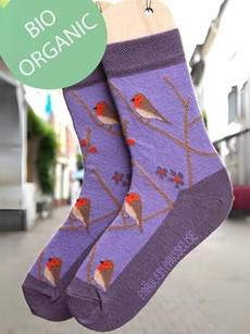 Kindersokken katoen roodborstjes - lila paars via Lotika