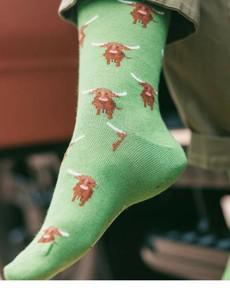 Swole Panda bamboesokken met Schotse hooglanders – groen via Lotika