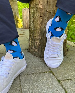 Swole Panda bamboe heren sokken pinguïn - blauw from Lotika