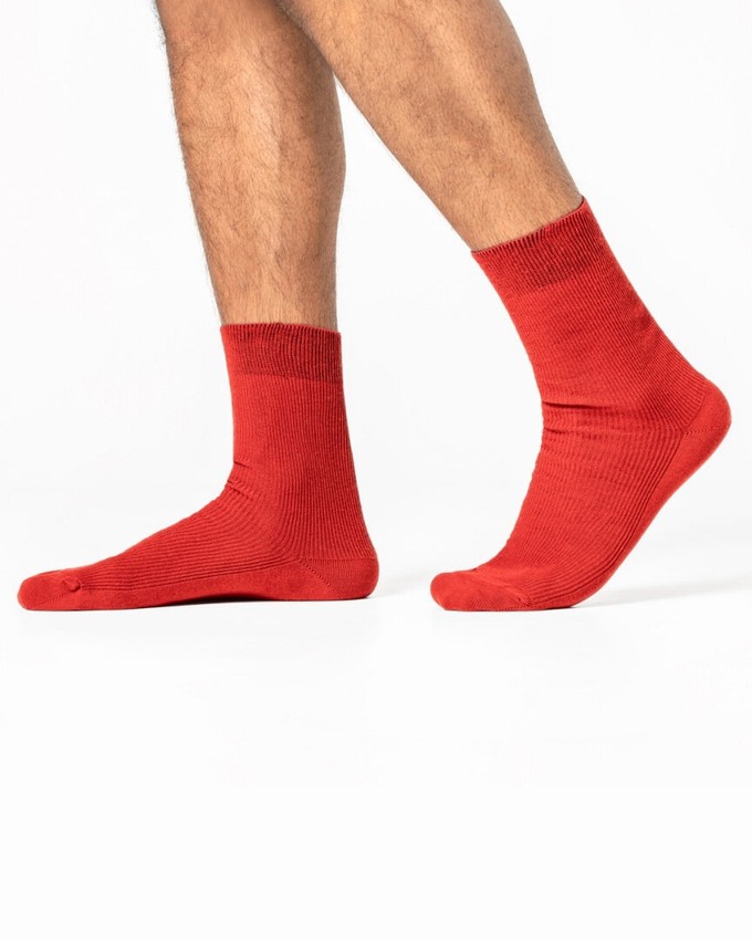 Living Crafts 100% katoenen sokken Ante 3-pack – rood blauw navy from Lotika