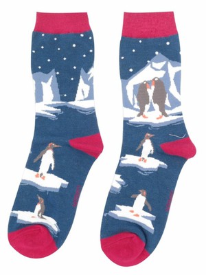 Bamboe sokken dames pinguïns op ijsschots - navy from Lotika