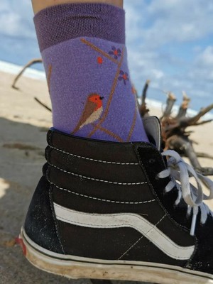 Kindersokken katoen roodborstjes - lila paars from Lotika